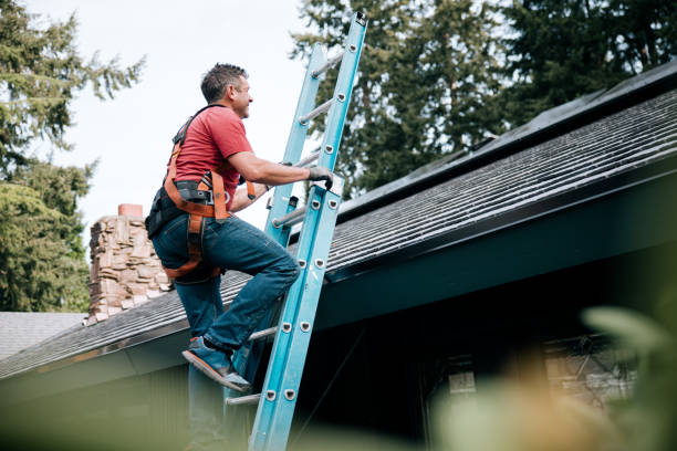 Best Gutter Replacement  in Bartlett, IL